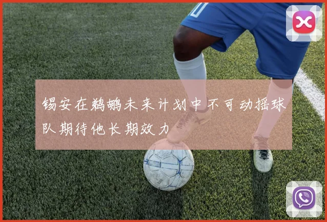 锡安在鹈鹕未来计划中不可动摇球队期待他长期效力